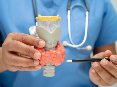 Thyroid Surgery 